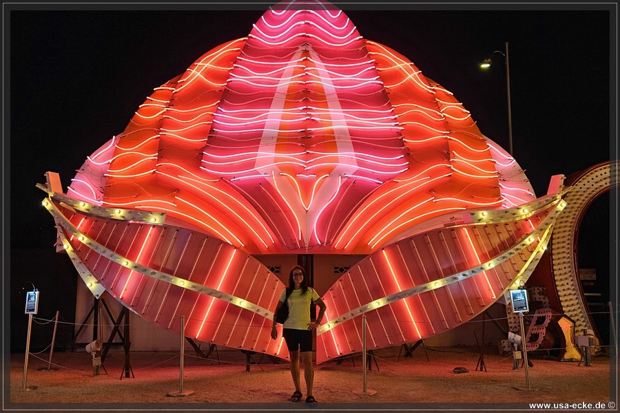 NeonMuseum_2025_035