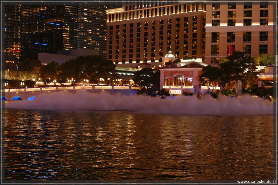 LasVegasNight2017_016