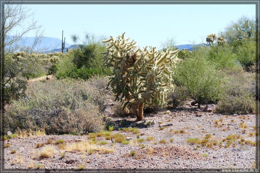 Apache_Trail_15_030