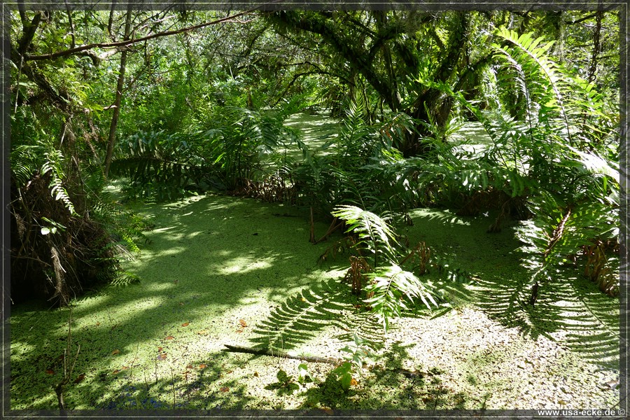 Loxahatchee_2024_015