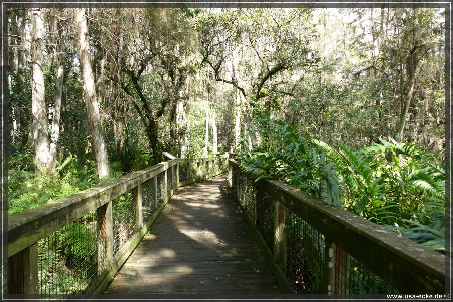 Loxahatchee_2024_016