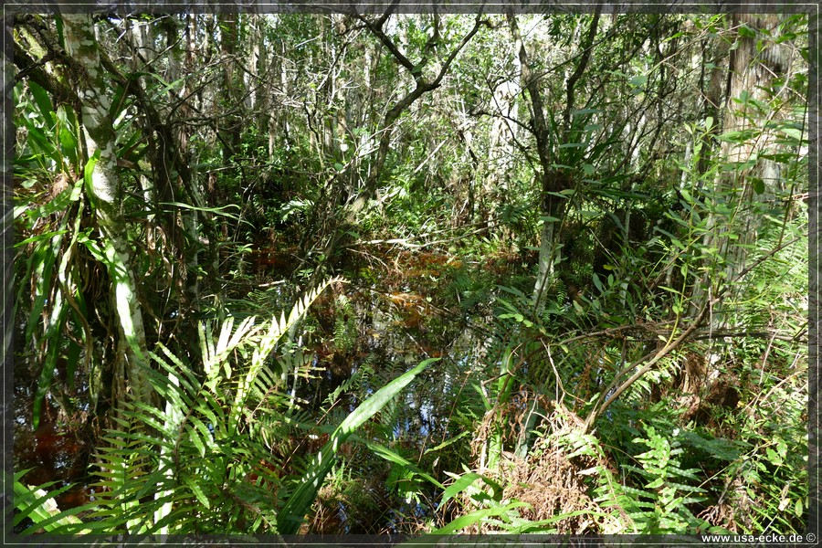 Loxahatchee_2024_017