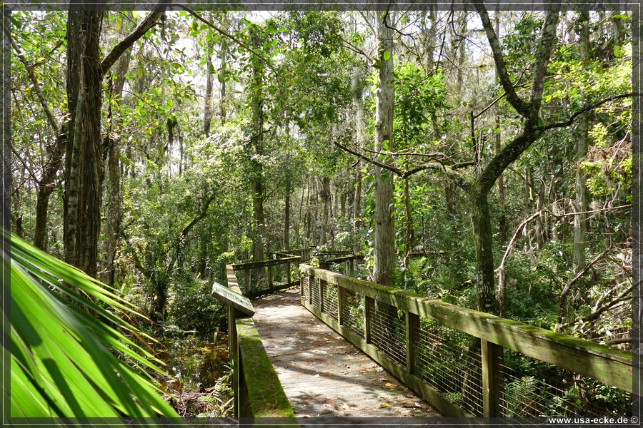 Loxahatchee_2024_018