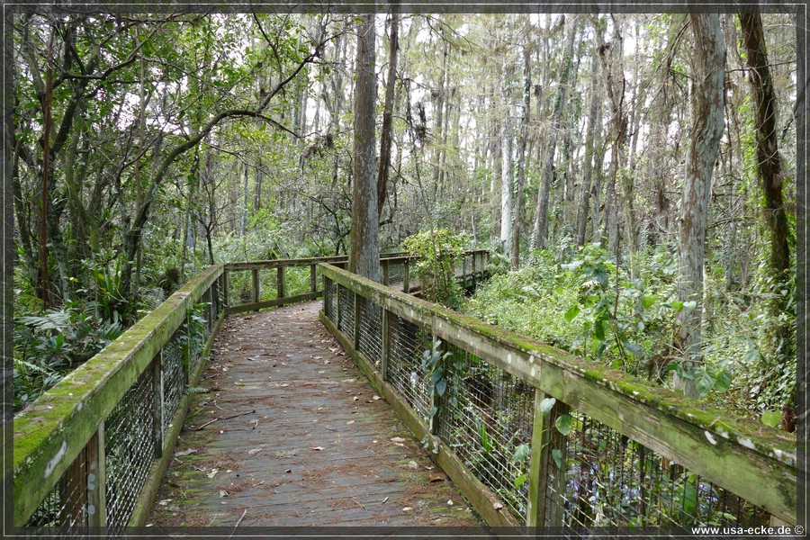 Loxahatchee_2024_019