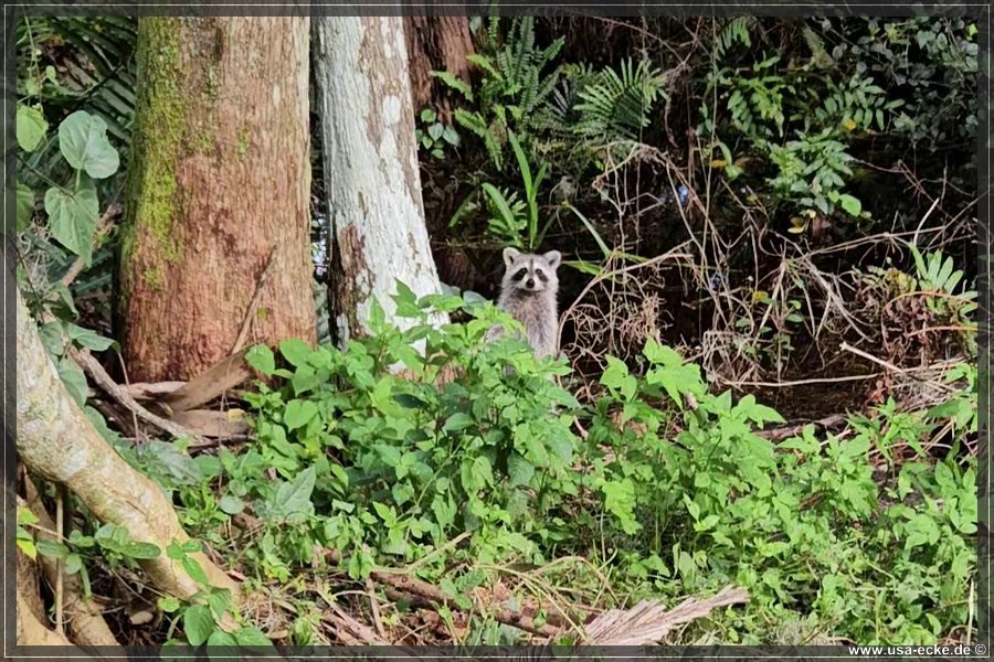 Loxahatchee_2024_020