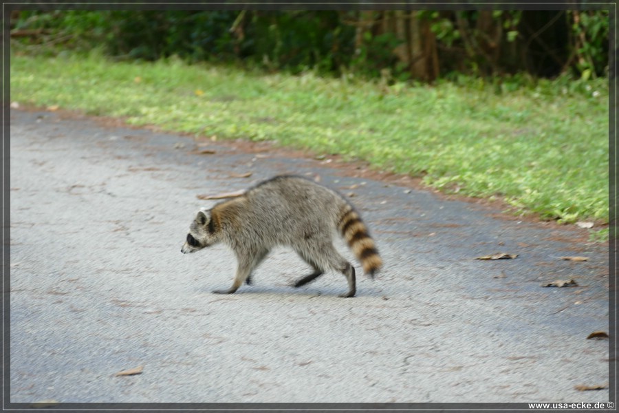 Loxahatchee_2024_021