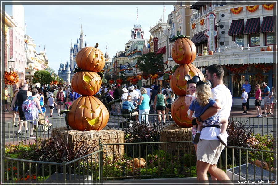 MagicKingdom2018_009