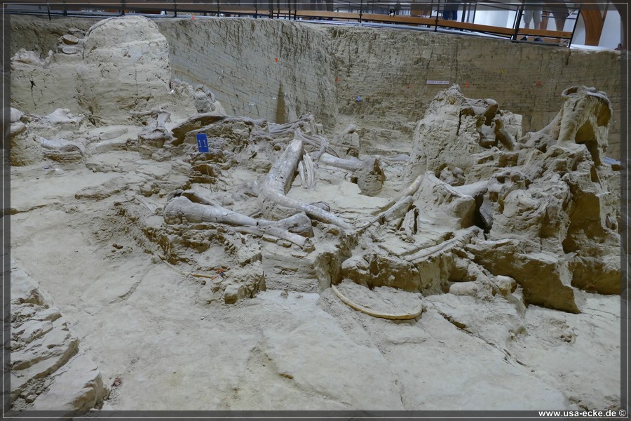 MammothSite2023_022