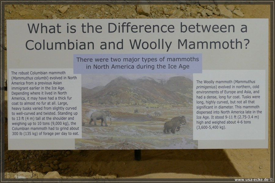 MammothSite2023_040