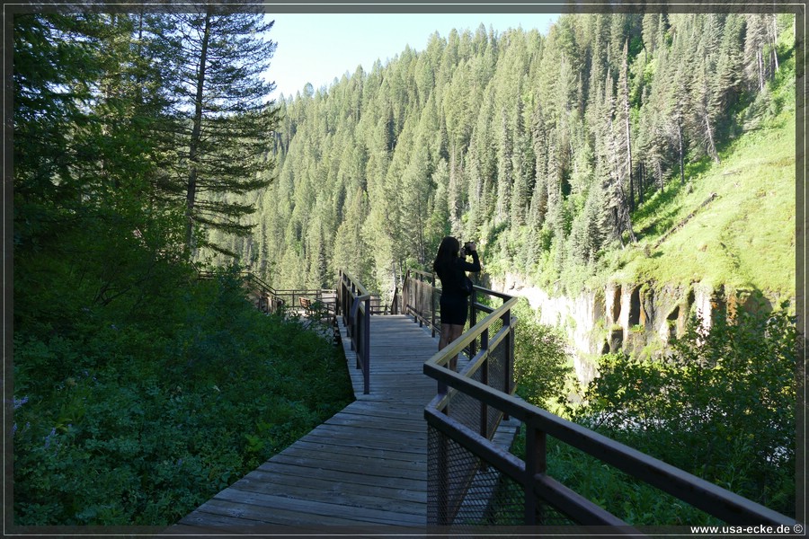 Mesa_Falls_2025_016