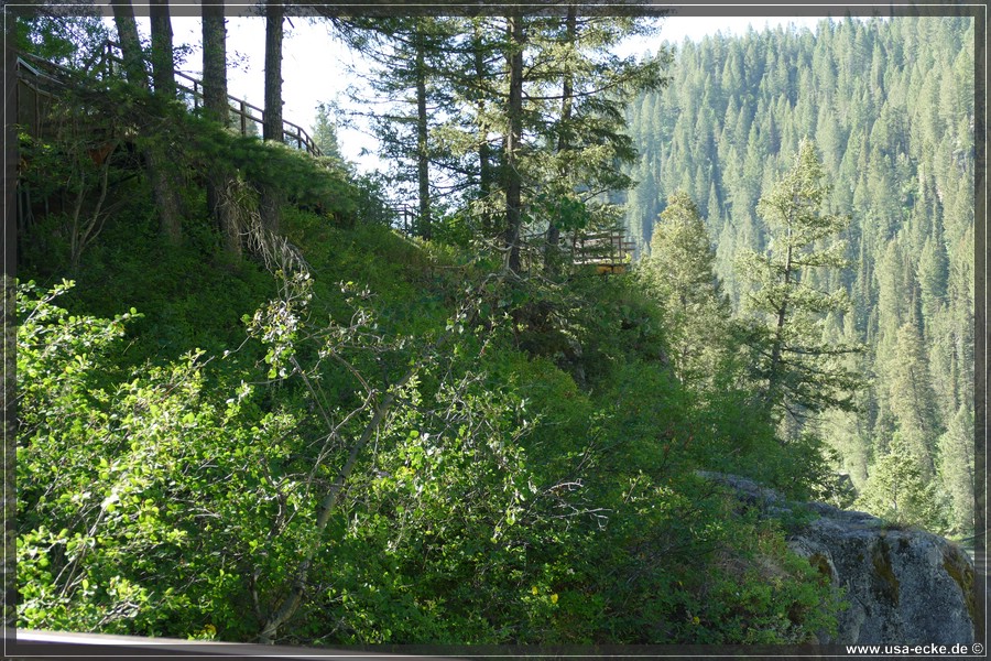 Mesa_Falls_2025_021