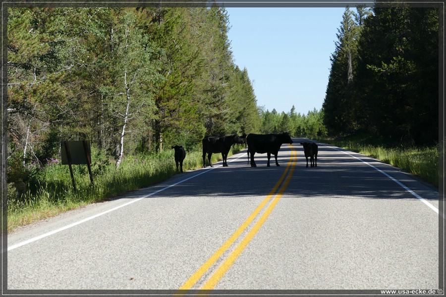 Mesa_Falls_2025_032
