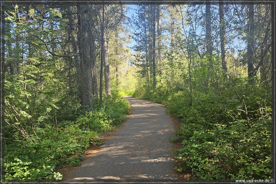 Mesa_Falls_2025_036