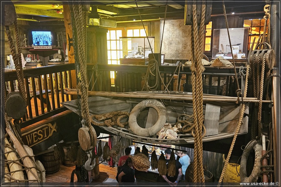 Museum_2024_019