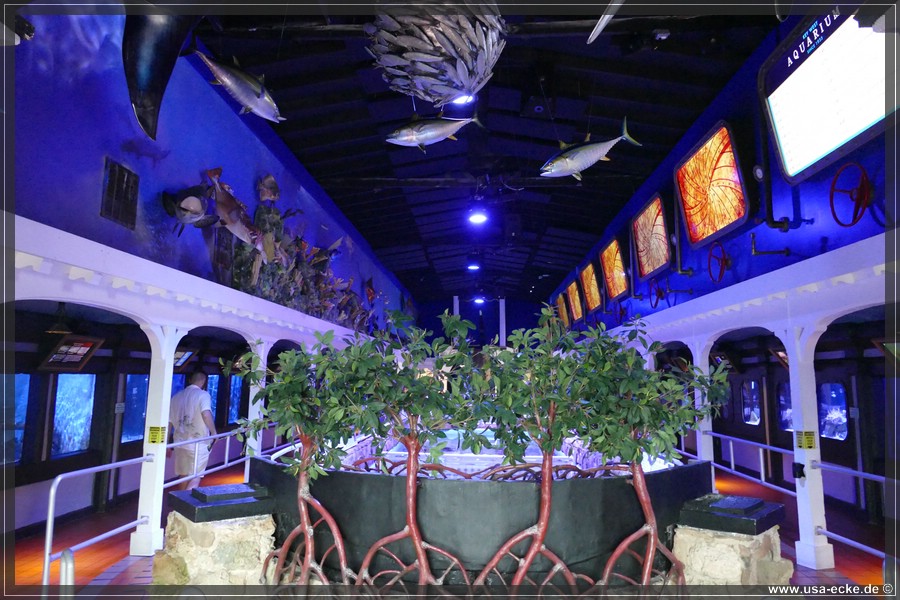 Museum_2024_056