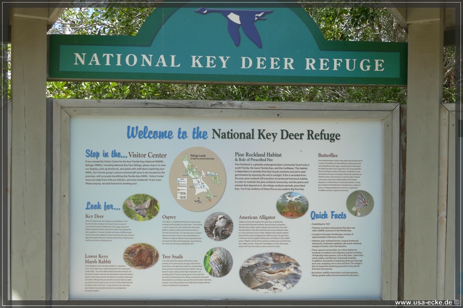 keydeerrefuge_004