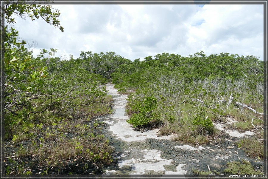 keydeerrefuge_016