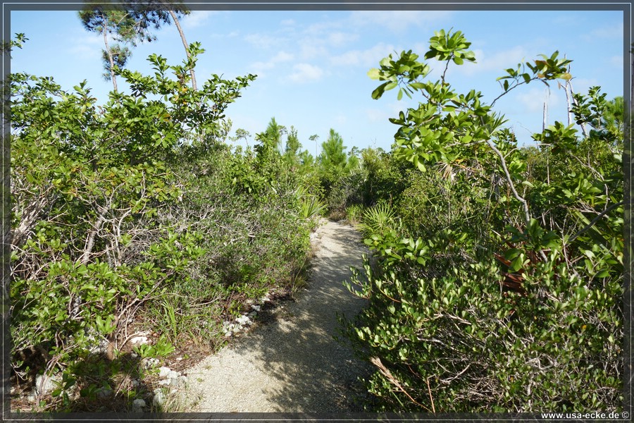 Key_Deer_2024_029