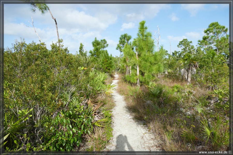 Key_Deer_2024_032