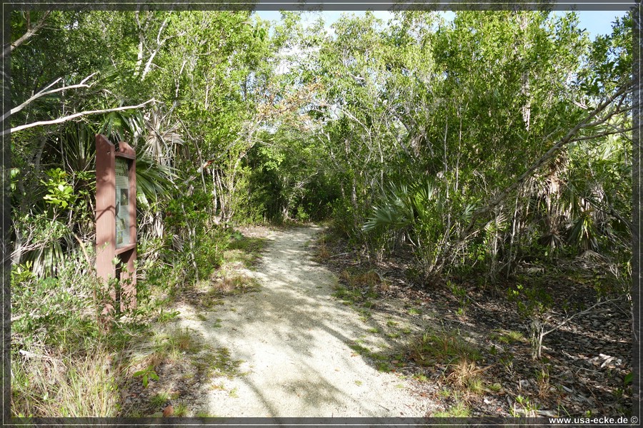 Key_Deer_2024_033