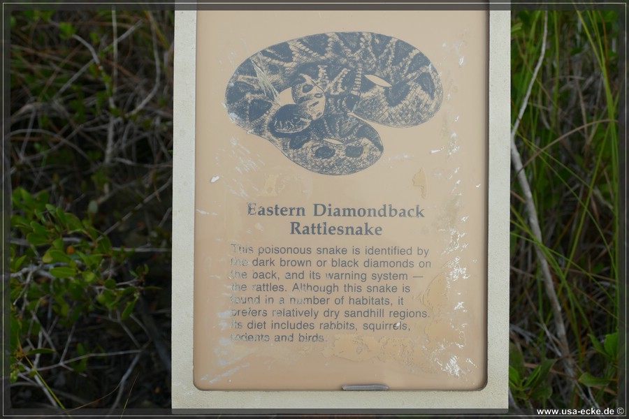 Key_Deer_2024_042