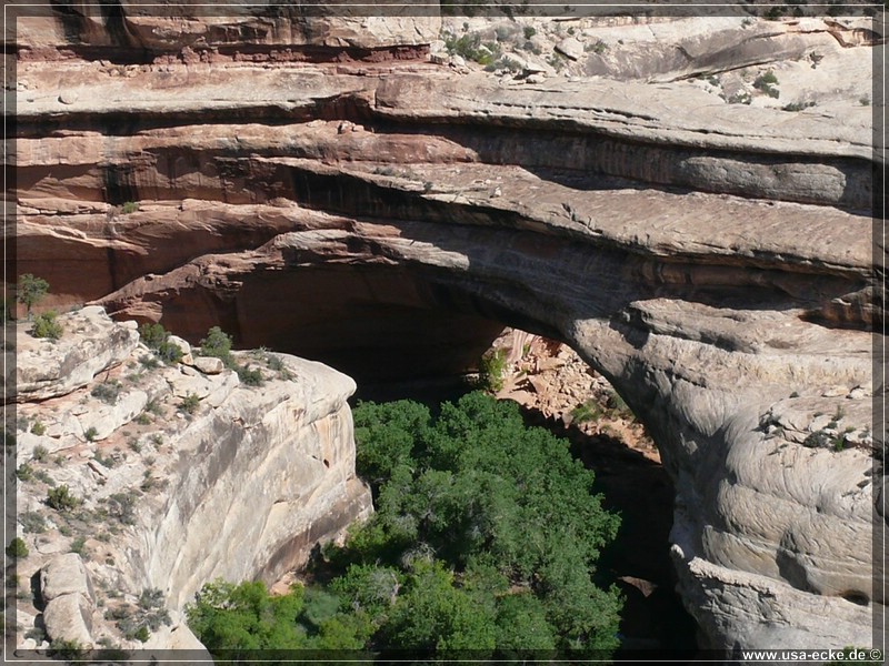 Natural_Bridges_10