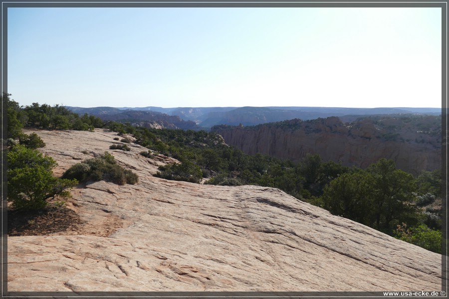 NavajoNM2017_004