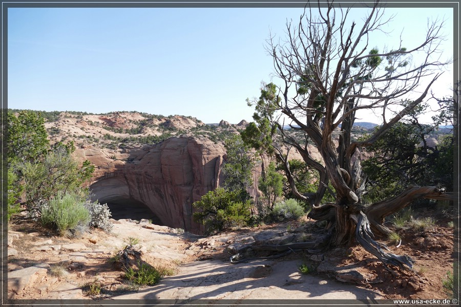 NavajoNM2017_028