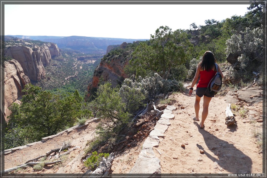 NavajoNM2017_033