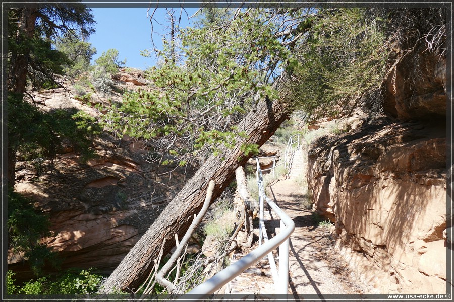 NavajoNM2017_035