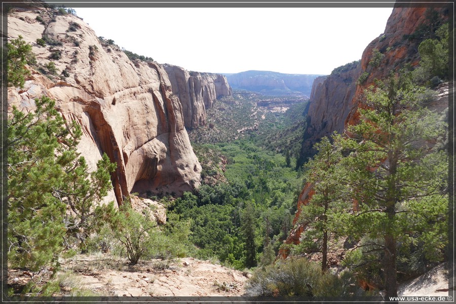 NavajoNM2017_037