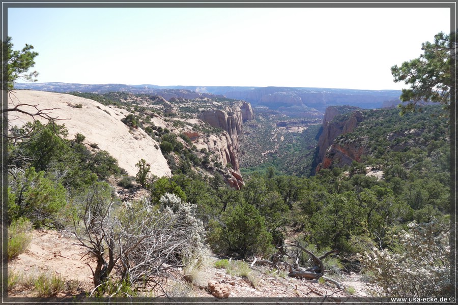 NavajoNM2017_045