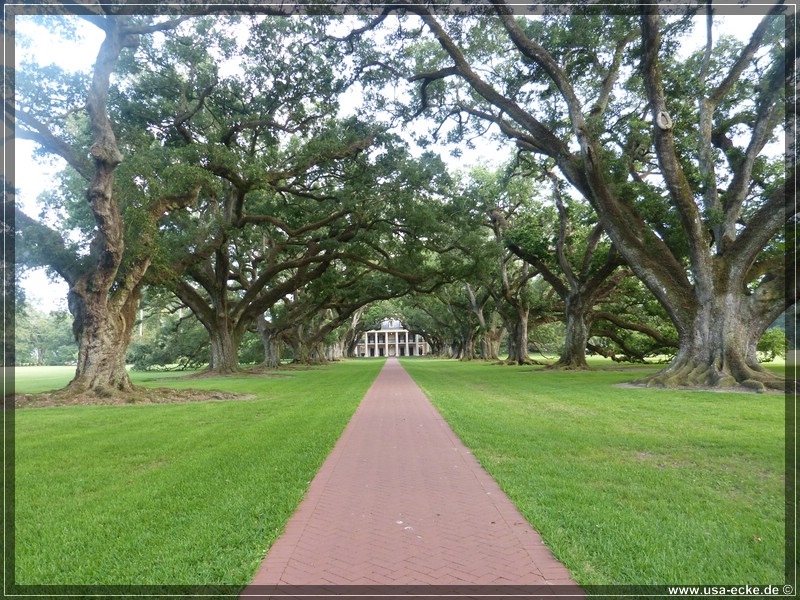 oak_alley_2013_010