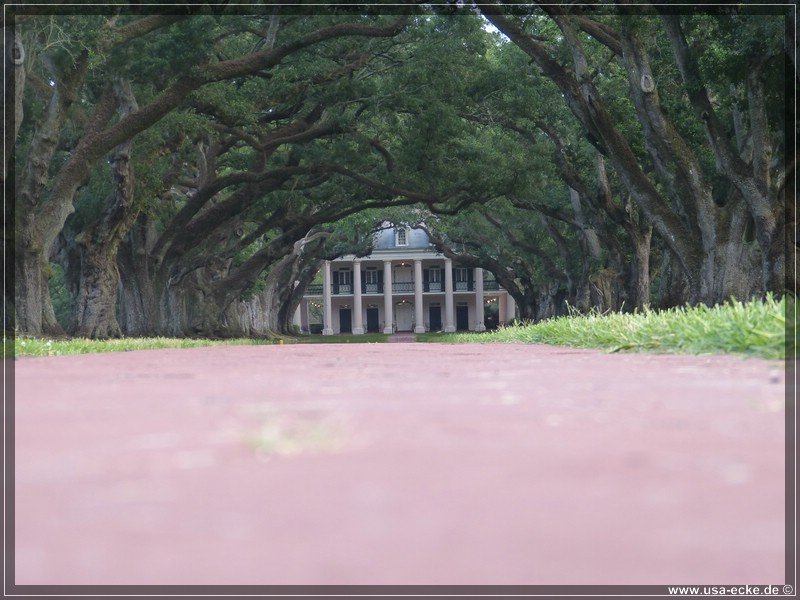 oak_alley_2013_017