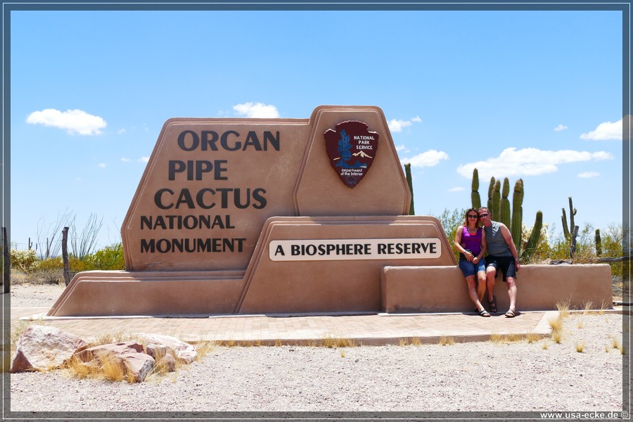 Organ_Pipe_Cactus_15_001