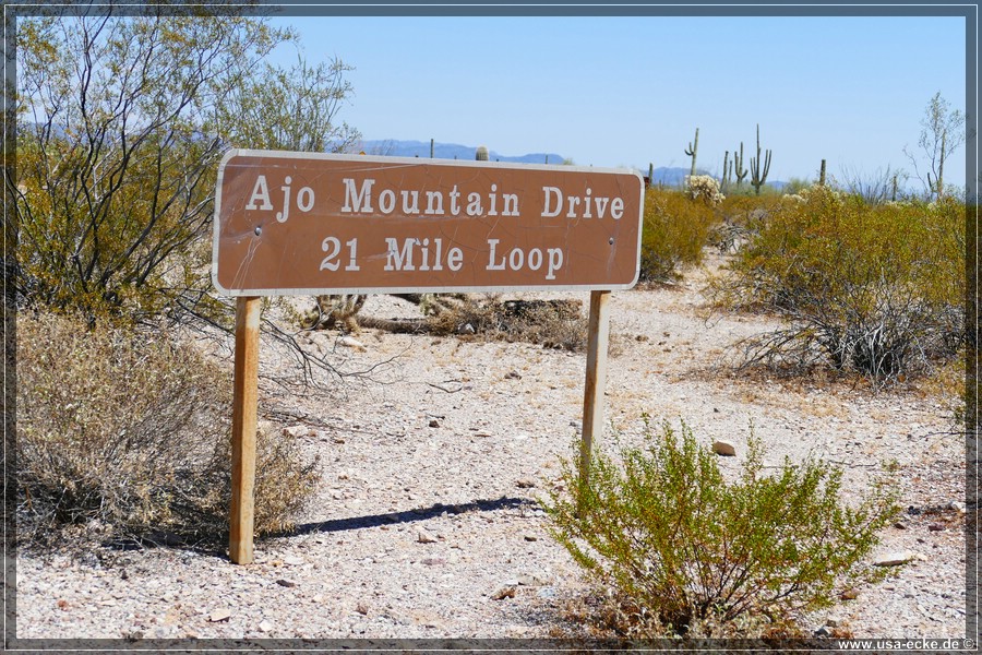 Organ_Pipe_Cactus_15_005