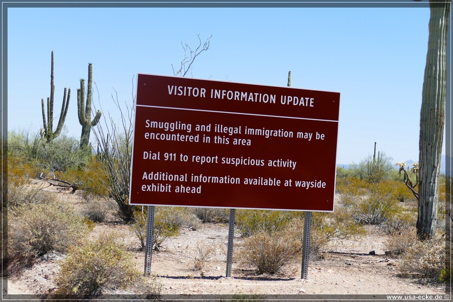 Organ_Pipe_Cactus_15_006