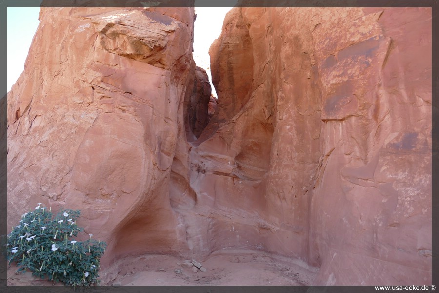 PeekaBoo_2025_002
