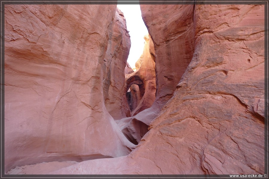 PeekaBoo_2025_003