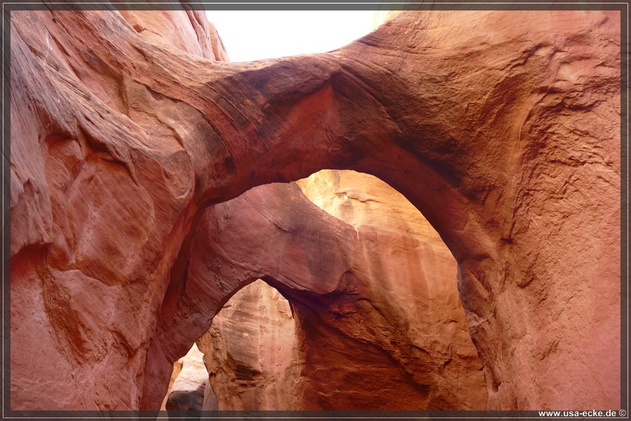 PeekaBoo_2025_014