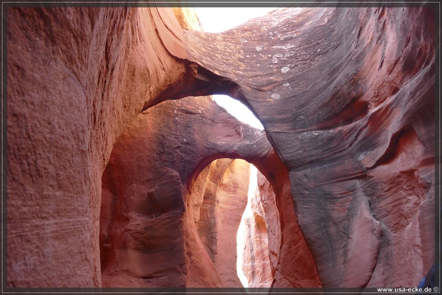 PeekaBoo_2025_015