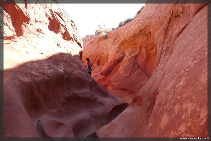 PeekaBoo_2025_021