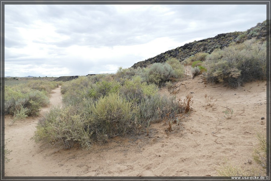 Petroglyph2019_008