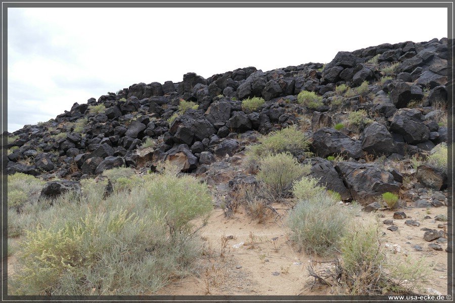 Petroglyph2019_011