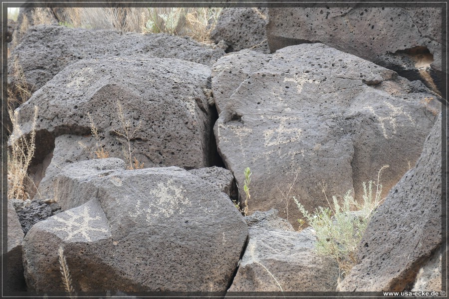 Petroglyph2019_014