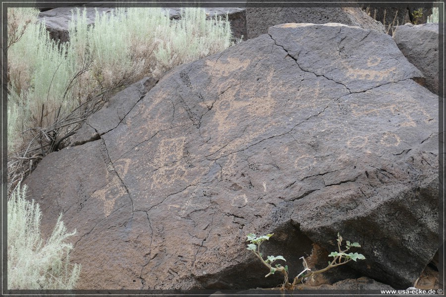 Petroglyph2019_016