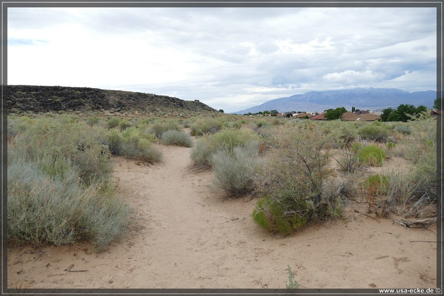 Petroglyph2019_021