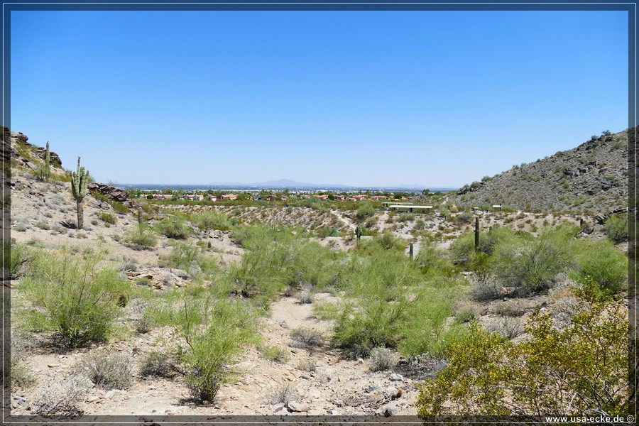 Phoenix_15_038