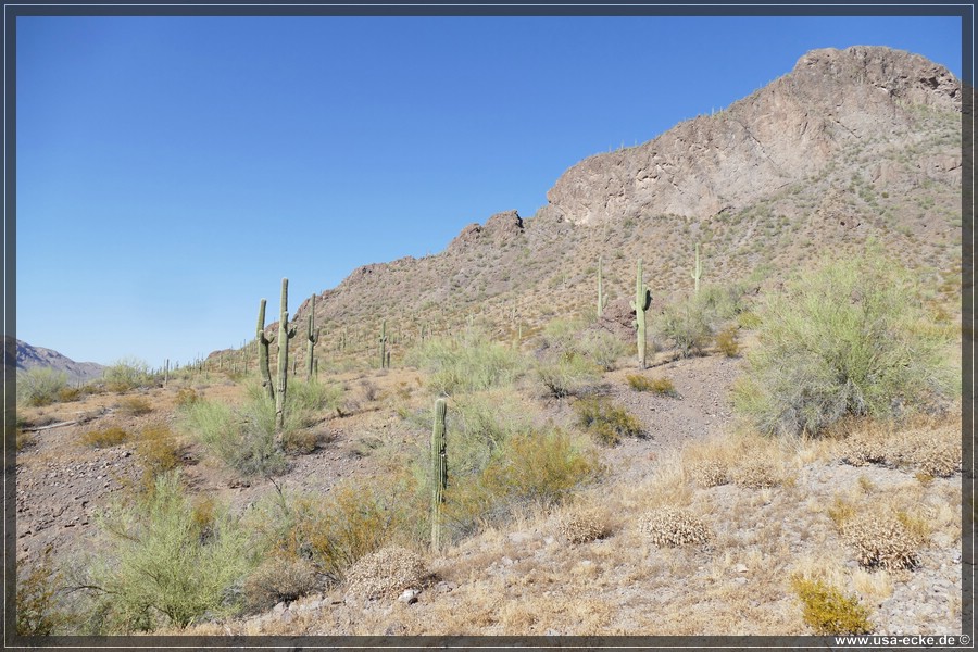Picacho2019_009