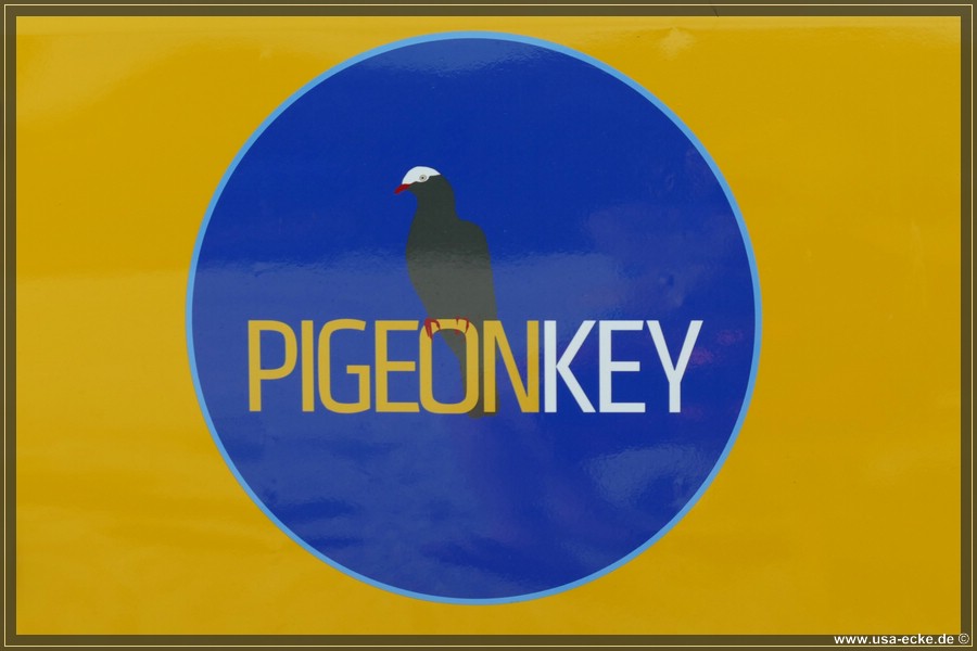 Pigeon_Key_2024_001